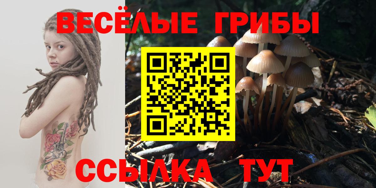 Псилоцибиновые грибы мицелий Будённовск