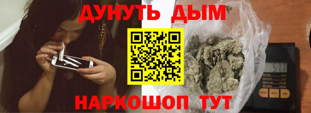 Бошки Шишки план Будённовск